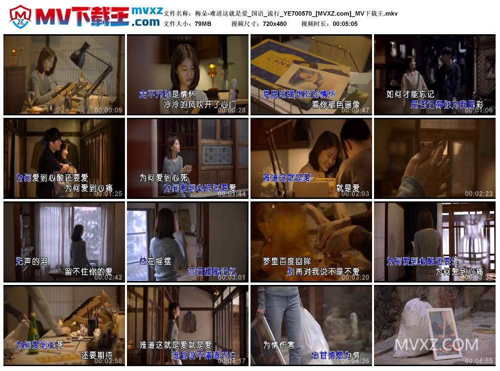 梅朵-难道这就是爱_国语_流行_YE700570